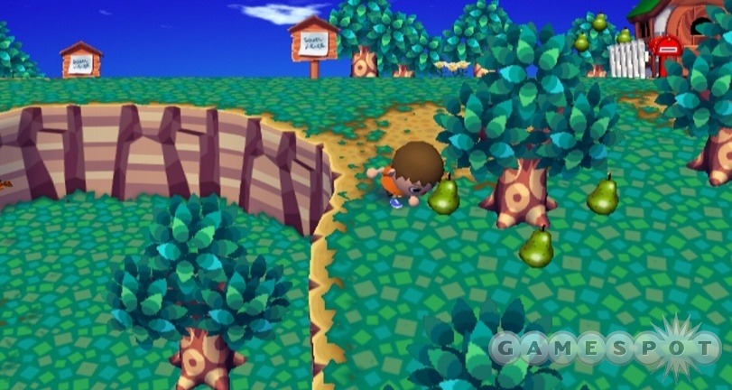 Animal Crossing: City Folk Walkthrough - GameSpot
