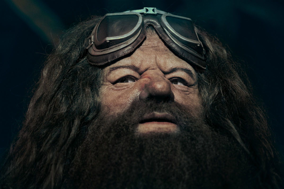 fyrretræ Gå op tidsplan Universal Studios Debuts Harry Potter Roller Coaster's Creepy New Hagrid  Robot - GameSpot