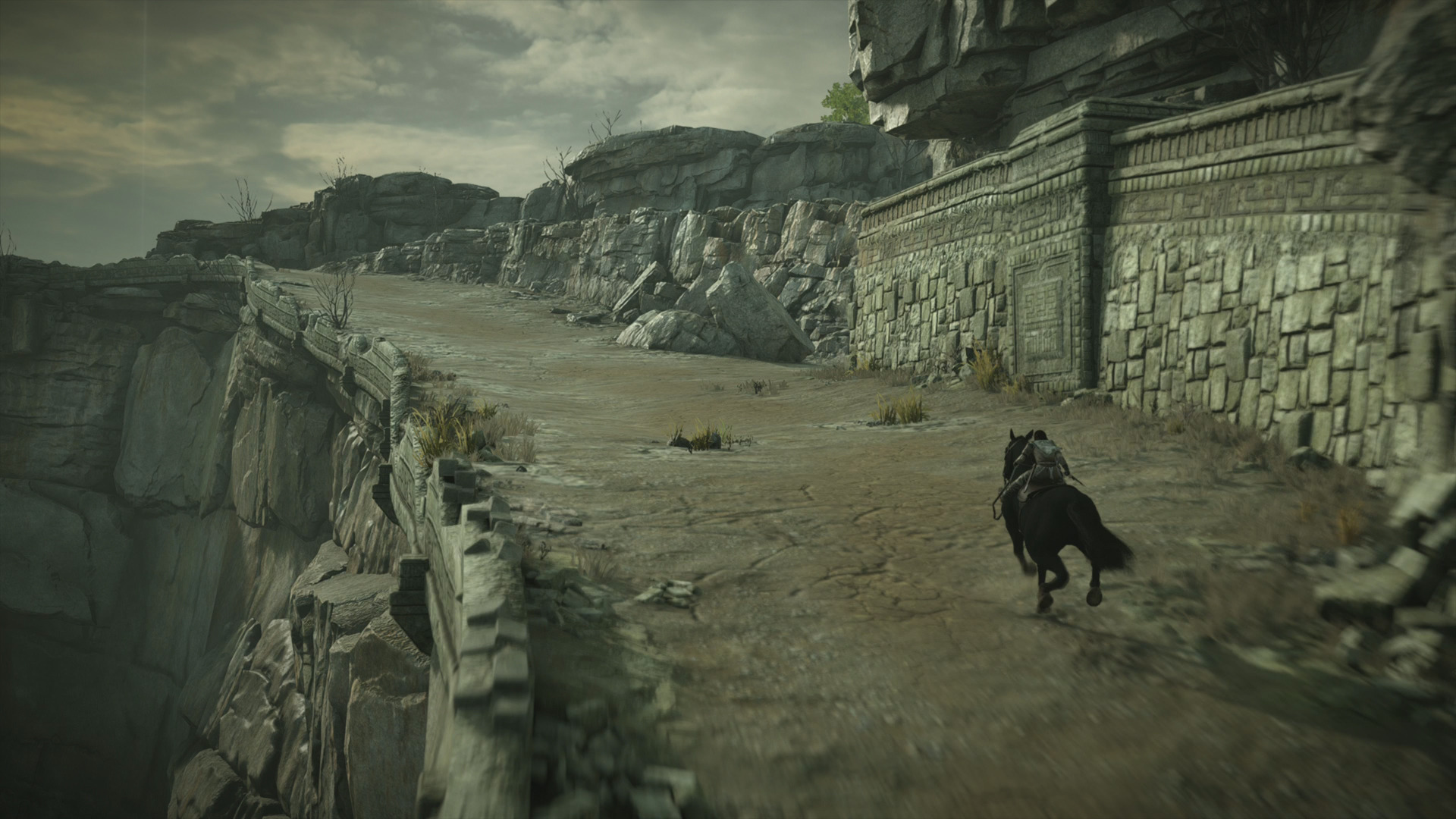 Shadow of the Colossus review – this is one of the most attractive games  we've ever seen