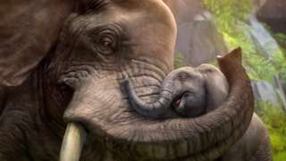 Wreed Brouwerij Openbaren Zoo Tycoon - E3 2013 Trailer for Xbox One - Metacritic