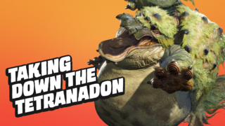 How to Take Down the Tetranadon in Monster Hunter Rise