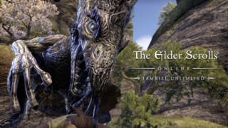 The Elder Scrolls Online: Tamriel Unlimited - Exploring Tamriel