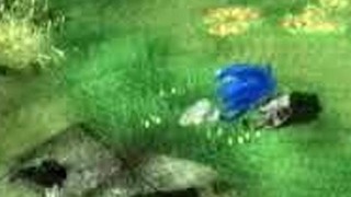 Sonic the Hedgehog Gameplay Movie 9